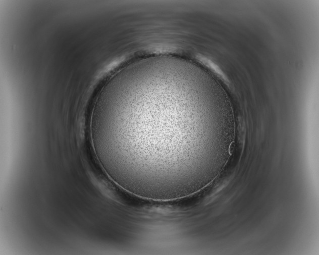 X0000086250631200704121952