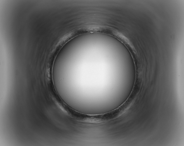 X0000086250633200704121952