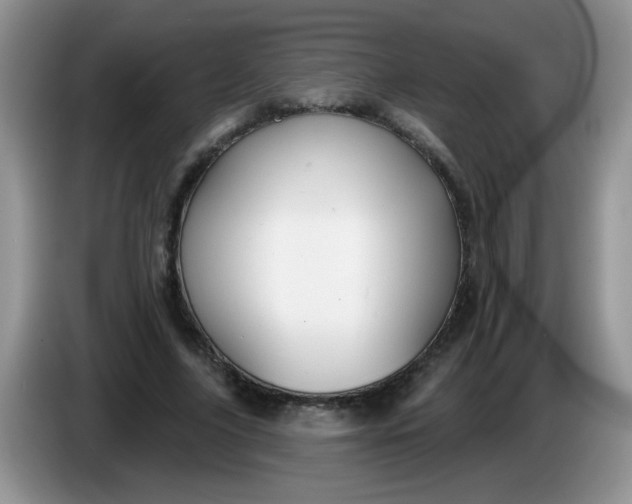 X0000086250635200704121952