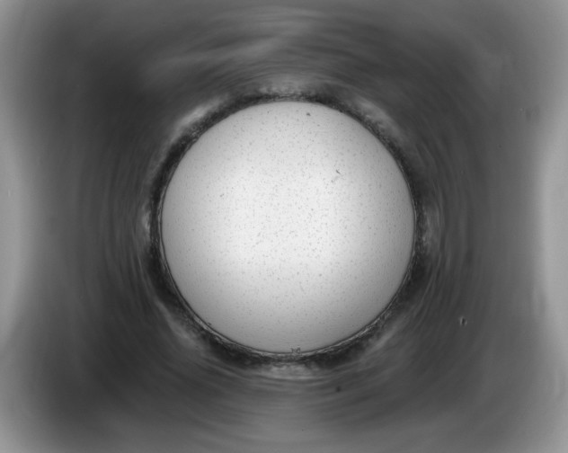 X0000086250636200704121952