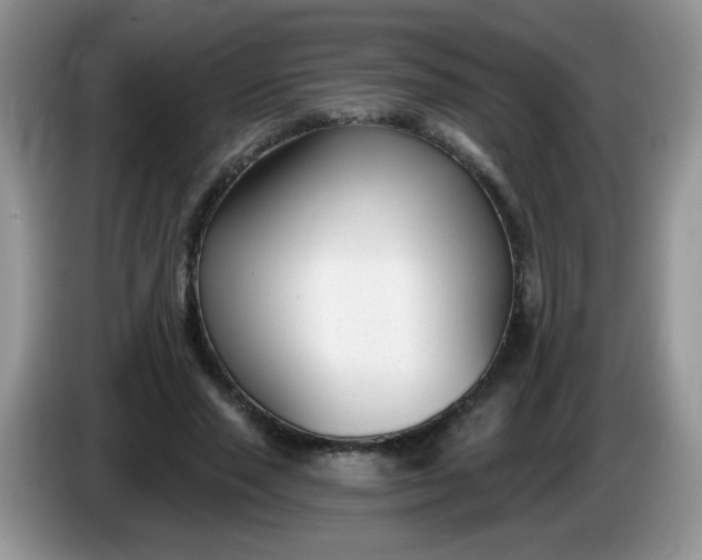 X0000086250637200704121952