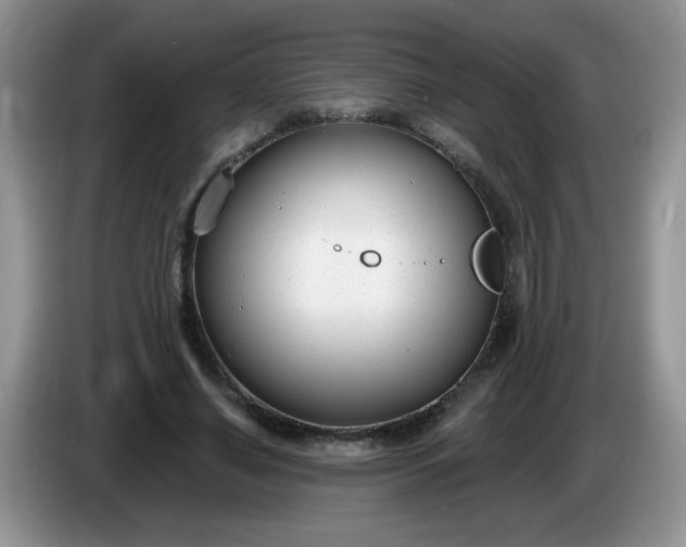 X0000086250638200704121952
