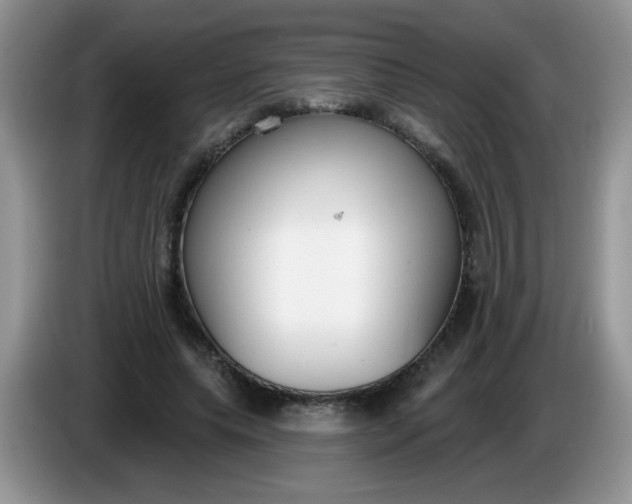 X0000086250639200704121952