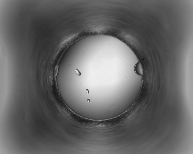X0000086250640200704121952