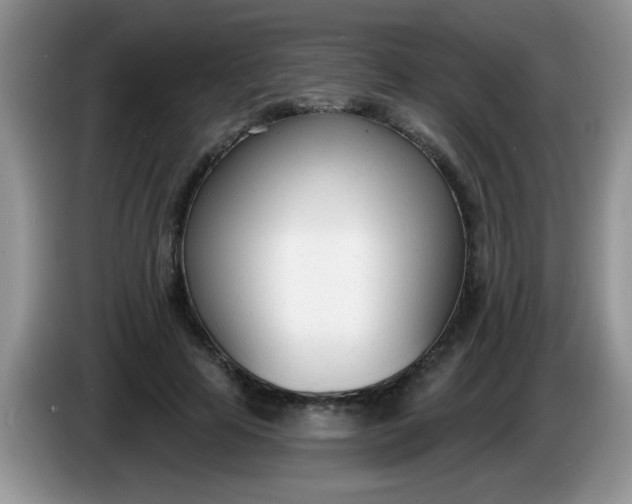 X0000086250641200704121952