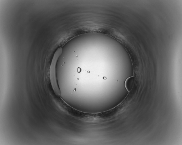 X0000086250642200704121952