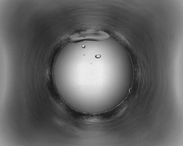 X0000086250643200704121952