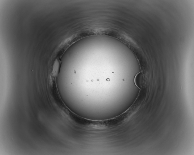 X0000086250644200704121952