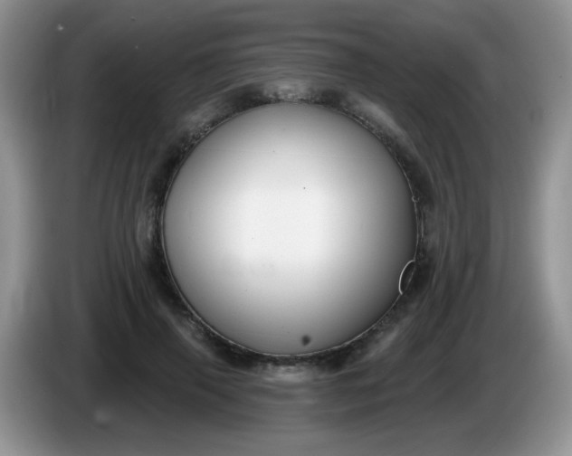 X0000086250645200704121953