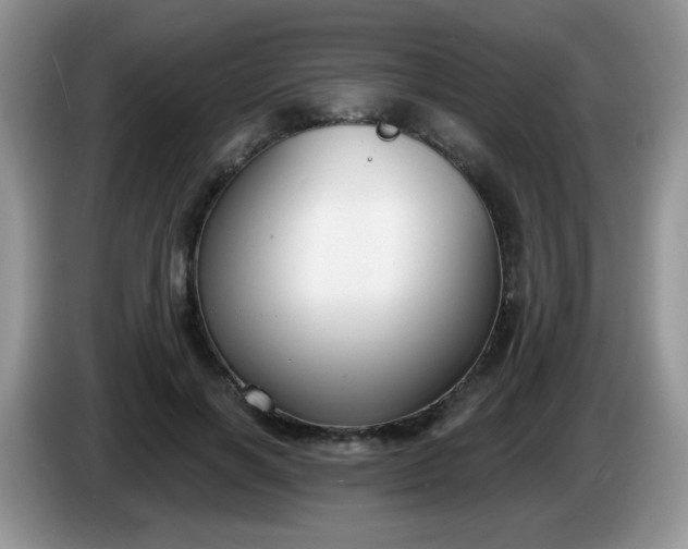 X0000086250646200704121953