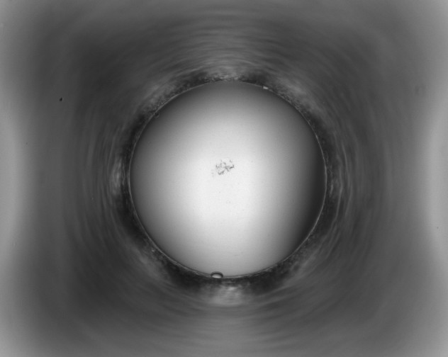 X0000086250647200704121953