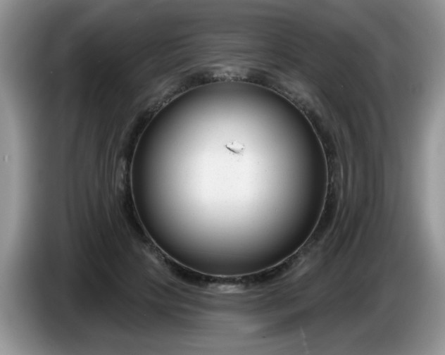 X0000086250649200704121953