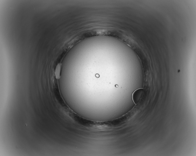 X0000086250650200704121953