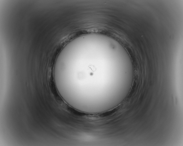 X0000086250652200704121953