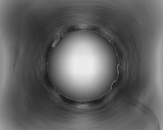 X0000086250653200704121953