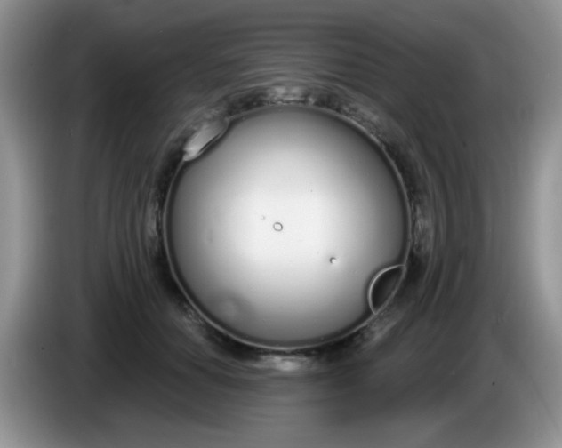 X0000086250654200704121953