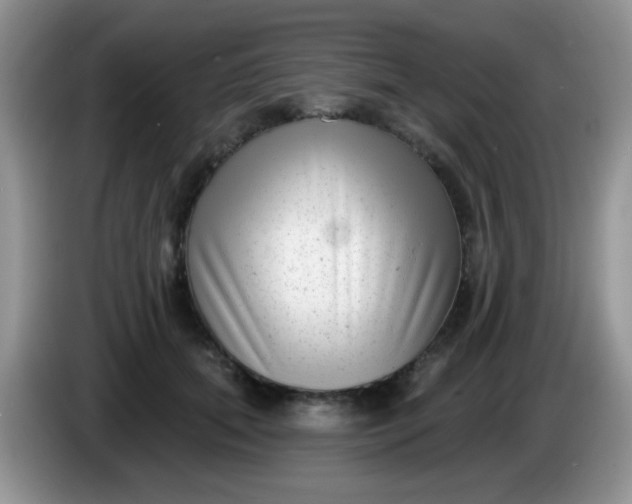 X0000086250655200704121953