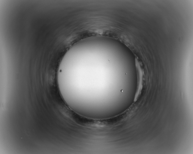 X0000086250656200704121953