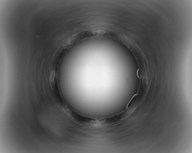 X0000086250660200704121953