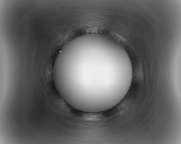 X0000086250661200704121953