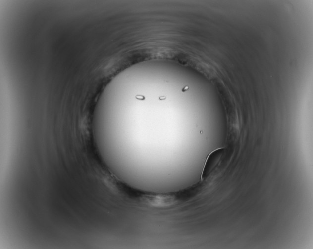 X0000086250663200704121953