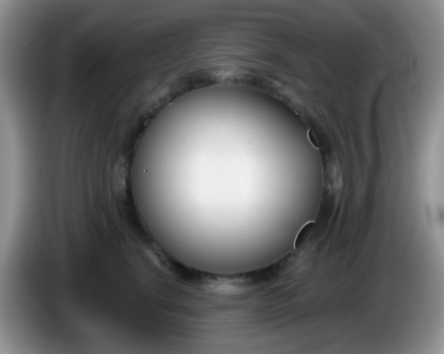 X0000086250664200704121953