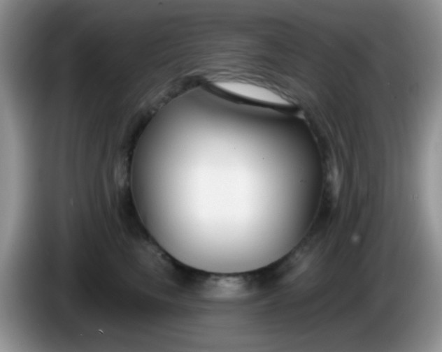 X0000086250665200704121953