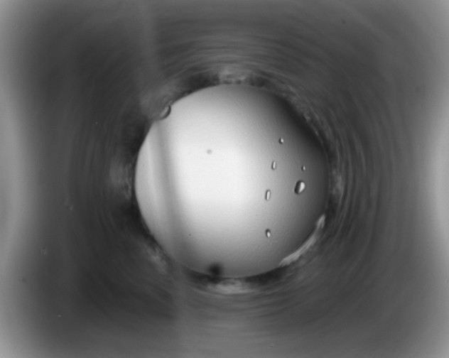 X0000086250666200704121953