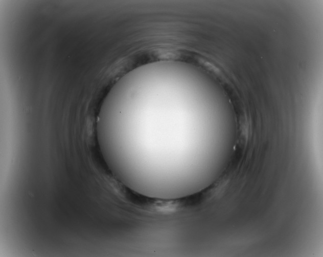 X0000086250667200704121953