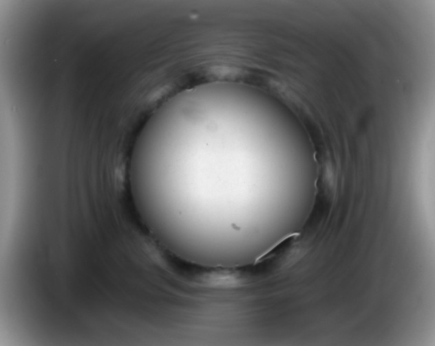 X0000086250668200704121953