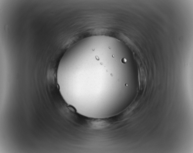 X0000086250669200704121953