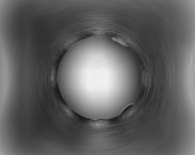 X0000086250670200704121953