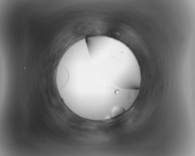 X0000086250672200704121953