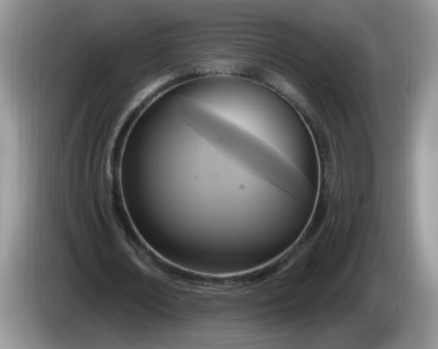 X0000086250674200704121952