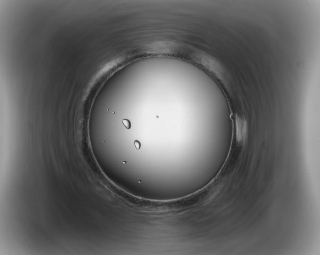 X0000086250675200704121952