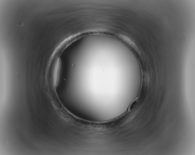 X0000086250676200704121952