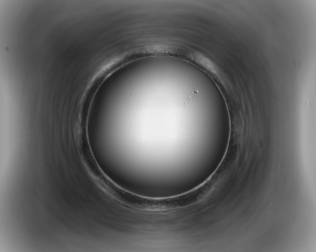X0000086250677200704121952