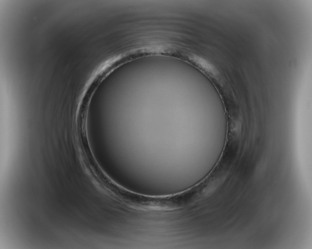 X0000086250678200704121952
