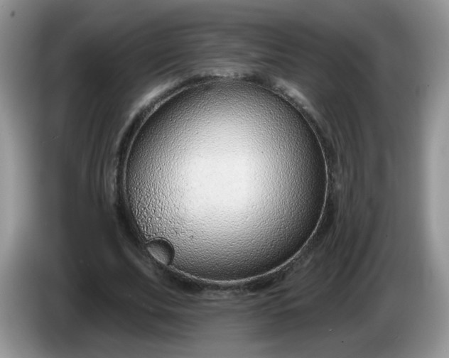X0000086250679200704121952