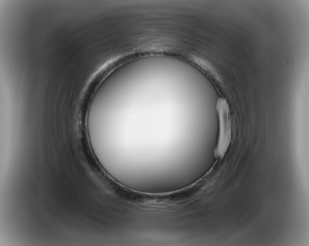 X0000086250680200704121952