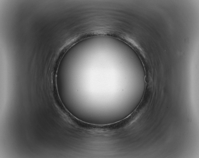 X0000086250681200704121952
