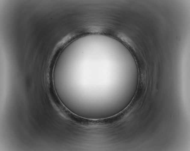 X0000086250682200704121952