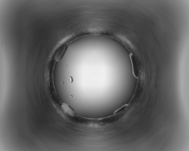 X0000086250684200704121952