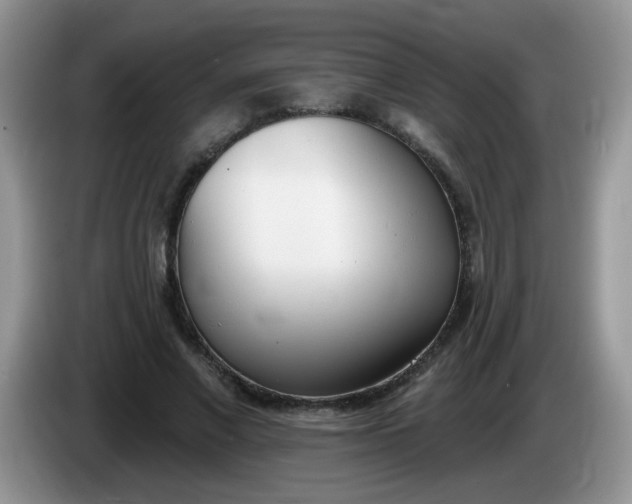 X0000086250685200704121952