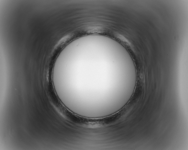 X0000086250686200704121952