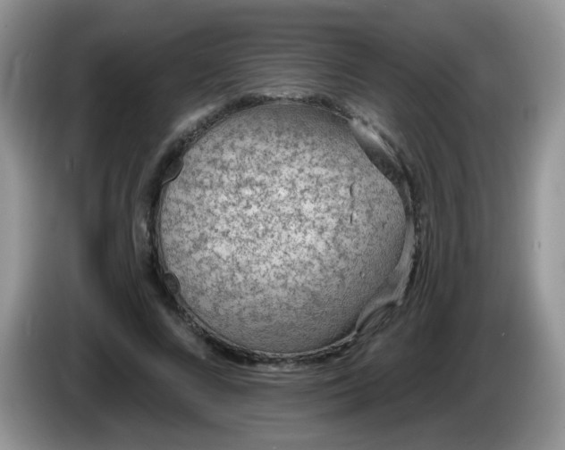 X0000086250688200704121952