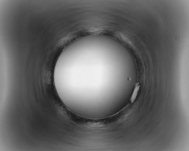 X0000086250689200704121952