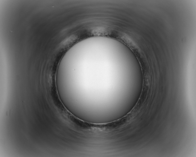 X0000086250690200704121952