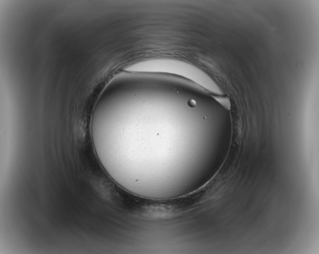 X0000086250691200704121952