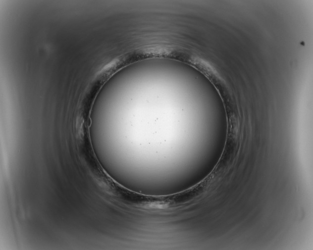 X0000086250692200704121952